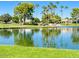 Scenic pond view with palm trees reflecting in the water surrounded by lush green landscaping at 14300 W Bell Rd # 222, Surprise, AZ 85374