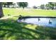 Charming water feature with geese enjoying the tranquil pond surrounded by green lawn at 14300 W Bell Rd # 222, Surprise, AZ 85374