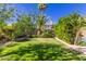 Backyard featuring a lush lawn surrounded by mature trees and landscaping, perfect for outdoor activities at 1946 E Caroline Ln, Tempe, AZ 85284