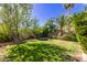 Lush green backyard featuring a variety of mature trees and landscaping elements creating a private retreat at 1946 E Caroline Ln, Tempe, AZ 85284
