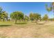 Scenic view of the neighborhood park provides a peaceful retreat for families and residents at 1946 E Caroline Ln, Tempe, AZ 85284