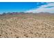 Expansive desert landscape with sparse shrubs and vegetation under a bright blue partly cloudy sky at 2248 S Nikki Ln, Maricopa, AZ 85139