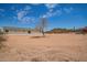 View of backyard, house and desert landscape featuring native vegetation and blue skies at 2248 S Nikki Ln, Maricopa, AZ 85139