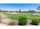 Scenic view of the community park, with playground and neighborhood homes at 25617 W St James Ave, Buckeye, AZ 85326