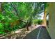 Lush backyard featuring mature trees, flowering plants, and decorative gravel landscaping at 2614 W Fawn Dr, Phoenix, AZ 85041