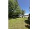 Large, shaded backyard featuring mature trees, storage sheds, and a spacious grassy area at 313 E 15Th St, Tempe, AZ 85281