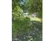 Backyard view highlighting the mature trees, fruit trees, shed and ample outdoor space at 313 E 15Th St, Tempe, AZ 85281