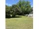Spacious backyard featuring mature fruit trees and a grassy area perfect for outdoor recreation at 313 E 15Th St, Tempe, AZ 85281