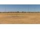 Open soccer field with soccer goal and an expansive grass area for play at 4001 N 300Th Ln, Buckeye, AZ 85396