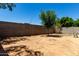 A backyard with low-maintenance landscaping surrounded by a block wall at 4216 N Dania Ct, Litchfield Park, AZ 85340