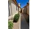 View of a clean and tidy side yard featuring a gravel pathway, mature landscaping and a glimpse of the home's exterior at 4420 E Amberwood Dr, Phoenix, AZ 85048