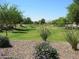 Beautifully landscaped community green space with walking path and lush greenery at 6330 W Constance Way, Laveen, AZ 85339