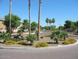 Landscaped neighborhood entrance with palm trees and well-maintained flowerbeds at 6330 W Constance Way, Laveen, AZ 85339