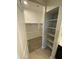 Walk-in closet with shelves, rods, and carpeted floor at 7218 E Grouse Ct, San Tan Valley, AZ 85143