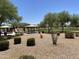 A playground and picnic area featuring a covered shelter, mature trees, and desert landscaping at 7218 E Grouse Ct, San Tan Valley, AZ 85143