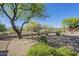 Large backyard features mature desert plants, landscaping, and wrought iron fence views at 7438 E Visao Dr, Scottsdale, AZ 85266