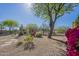 The backyard features desert landscaping, mature trees, and a privacy fence for added seclusion at 7438 E Visao Dr, Scottsdale, AZ 85266