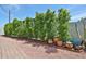 Landscaped backyard with gravel, a row of trees, and colorful potted plants at 9851 N 28Th Way, Phoenix, AZ 85028