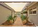 Welcoming walkway adorned with potted plants and hanging baskets, leading to a serene outdoor space at 9851 N 28Th Way, Phoenix, AZ 85028