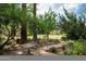 Backyard features a wrought iron table and chair set in a garden setting surrounded by lush foliage at 1015 W Encanto Blvd, Phoenix, AZ 85007