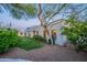 Backyard with mature trees and manicured lawn providing a serene outdoor space at 10532 N 79Th St, Scottsdale, AZ 85258