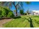 Large backyard featuring mature trees and landscaping, complemented by a lush lawn at 10532 N 79Th St, Scottsdale, AZ 85258
