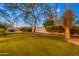 Well-lit backyard with healthy green lawn and a variety of trees and shrubs creating a private oasis at 10532 N 79Th St, Scottsdale, AZ 85258