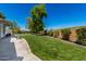 Spacious backyard with lush lawn, mature trees, and manicured landscaping at 1096 E Lodgepole Dr, Gilbert, AZ 85298