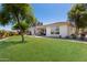 Large backyard with lush lawn, patio, and mature trees for shade at 1096 E Lodgepole Dr, Gilbert, AZ 85298