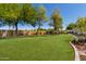 Large backyard lawn with mature trees, perfect for outdoor enjoyment at 1096 E Lodgepole Dr, Gilbert, AZ 85298
