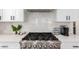 Modern stainless steel stovetop with white cabinets and decorative backsplash, perfect for cooking enthusiasts at 1096 E Lodgepole Dr, Gilbert, AZ 85298