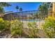 A glimpse of the community pool through a decorative iron fence with green grass and yellow flowers at 123 N Washington St # 16, Chandler, AZ 85225