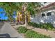 Townhouse exterior featuring colorful facade, complemented by manicured landscaping and inviting walkway at 123 N Washington St # 16, Chandler, AZ 85225