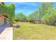 Lush backyard with manicured lawn, mature trees, and charming patio set, ideal for outdoor relaxation at 1338 W Mountain View Dr, Mesa, AZ 85201