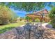 Expansive backyard featuring a large patio, manicured lawn, mature trees, and a charming residence at 1338 W Mountain View Dr, Mesa, AZ 85201
