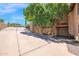 Long driveway leading to a gated property with mature trees, well-kept landscaping, and residence at 1338 W Mountain View Dr, Mesa, AZ 85201