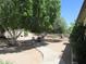 Spacious backyard with mature shade trees and stone path at 2324 W Via Rialto Cir, Mesa, AZ 85202