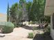 Picturesque backyard with mature trees, desert landscaping, and a sense of privacy for outdoor enjoyment at 2324 W Via Rialto Cir, Mesa, AZ 85202