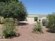 Large backyard with mature tree, gravel landscaping, and storage sheds provides ample outdoor space at 2324 W Via Rialto Cir, Mesa, AZ 85202