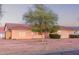 Single-story home with mature shade tree, brick border, and well-kept lawn for added charm at 23717 N Mustang Way, Florence, AZ 85132