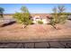 Expansive single-story home featuring a desert-landscaped front yard and a red brick walkway to the entrance at 23717 N Mustang Way, Florence, AZ 85132
