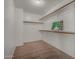 Walk-in closet featuring built-in shelving and carpeted floor at 2718 S Cupertino Dr, Gilbert, AZ 85295
