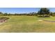 Expansive green space in the community featuring mature trees, a park and a picnic area at 2718 S Cupertino Dr, Gilbert, AZ 85295