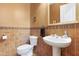 Well-lit powder room with decorative tile work and a pedestal sink, offering a touch of elegance at 2856 E Desert Broom Pl, Chandler, AZ 85286