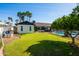 Spacious backyard with pool, mature citrus trees, and play structure offering the perfect space for Gathering fun at 4418 E Paradise Ln, Phoenix, AZ 85032