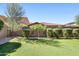 Backyard showcasing green grass, a palm tree, and a block wall at 4535 E Navigator Ln, Phoenix, AZ 85050