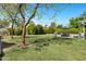 Lush backyard featuring manicured lawn, mature trees, and a cozy patio seating area at 4634 E Wilshire Dr, Phoenix, AZ 85008