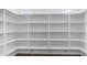 Large walk-in pantry with white shelving, ideal for organization and storage at 9936 E Revolution Dr, Mesa, AZ 85212