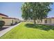 Landscaped common area with mature tree for shade in residential area at 10020 W Royal Oak Rd # F, Sun City, AZ 85351