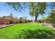 Large grassy backyard featuring mature trees, desert landscaping, and a block fence for privacy at 17705 E Canyon Way, Gilbert, AZ 85298
